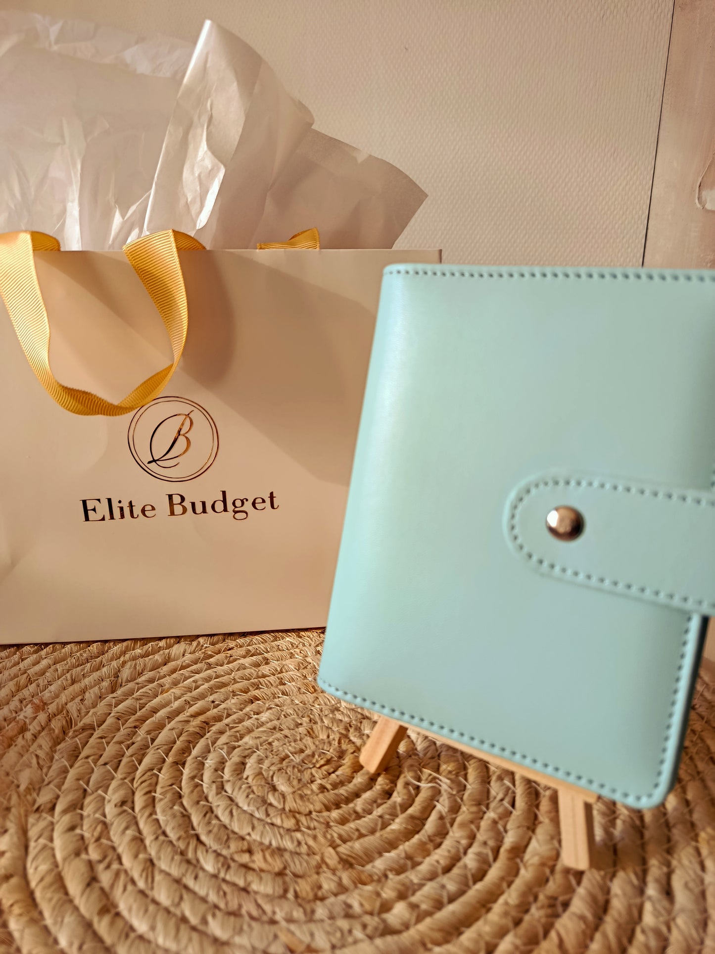 Classeurs Budgétaires  - Collection " Macaron"